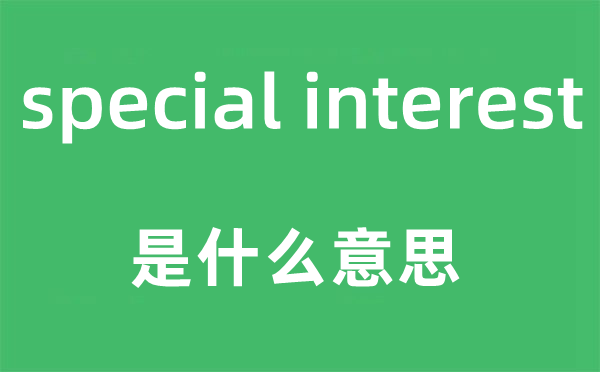 special interest是什么意思,中文翻譯是什么