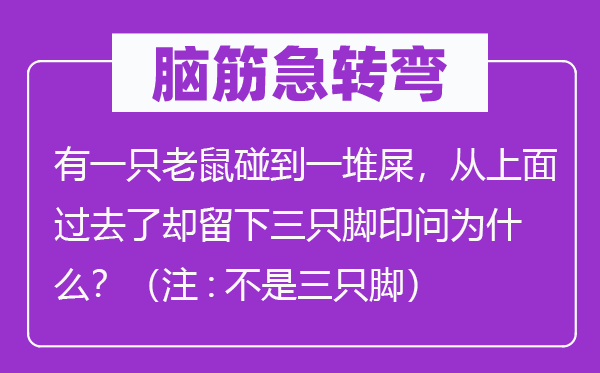 腦筋急轉彎：有一只老鼠碰到一堆屎，從上面過去了卻留下三只腳印問為什么？（注:不是三只腳）
