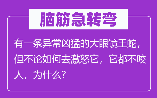 腦筋急轉彎：有一條異常兇猛的大眼鏡王蛇，但不論如何去激怒它，它都不咬人，為什么？