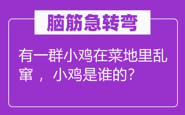 腦筋急轉彎：有一群小雞在菜地里亂竄 ，小雞是誰的？