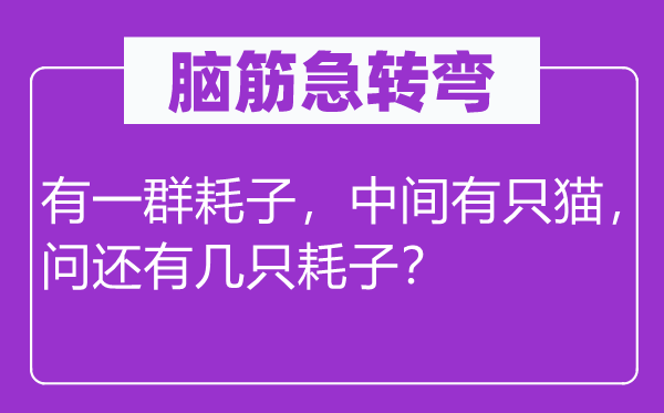 腦筋急轉(zhuǎn)彎：有一群耗子，中間有只貓，問(wèn)還有幾只耗子？