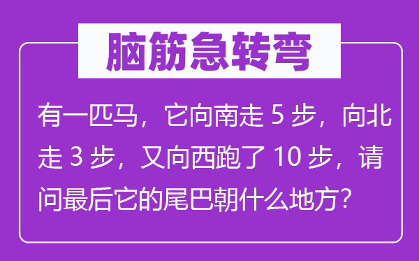 腦筋急轉彎：有一匹馬，它向南走5步，向北走3步，又向西跑了10步，請問最后它的尾巴朝什么地方？