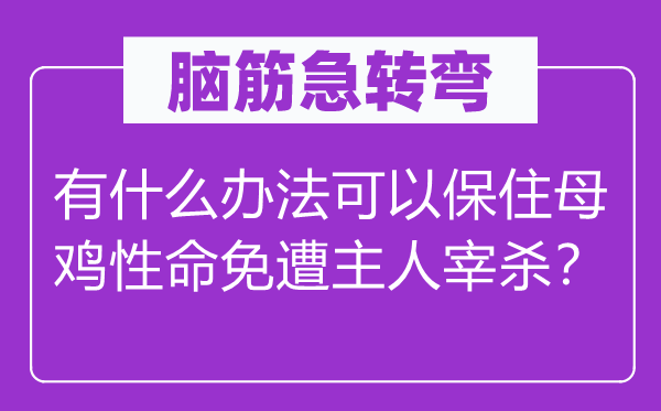 腦筋急轉彎：有什么辦法可以保住母雞性命免遭主人宰殺？