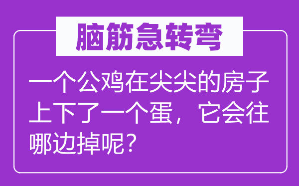 腦筋急轉彎：一個公雞在尖尖的房子上下了一個蛋，它會往哪邊掉呢？