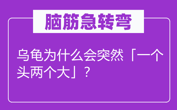 腦筋急轉彎：烏龜為什么會突然「一個頭兩個大」？