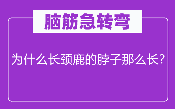 腦筋急轉彎：為什么長頸鹿的脖子那么長？