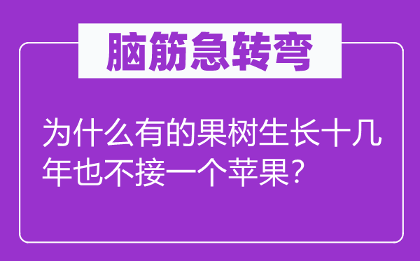 腦筋急轉(zhuǎn)彎：為什么有的果樹生長(zhǎng)十幾年也不接一個(gè)蘋果？