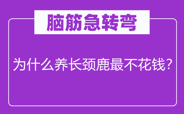 腦筋急轉彎：為什么養長頸鹿最不花錢？