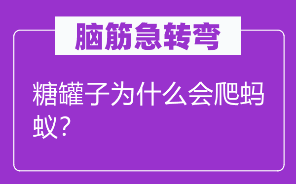 腦筋急轉(zhuǎn)彎：糖罐子為什么會(huì)爬螞蟻？