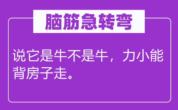 腦筋急轉彎：說它是牛不是牛，力小能背房子走。