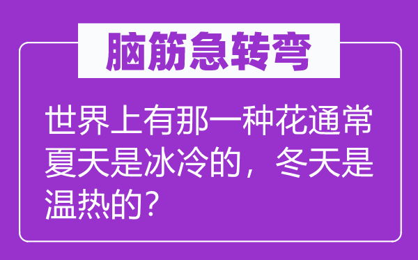 腦筋急轉彎：世界上有那一種花通常夏天是冰冷的，冬天是溫熱的？