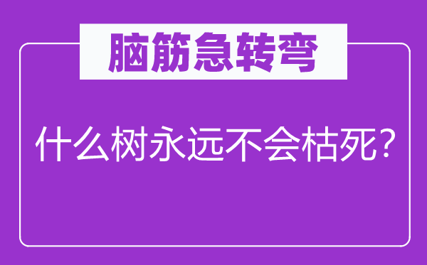 腦筋急轉彎：什么樹永遠不會枯死？