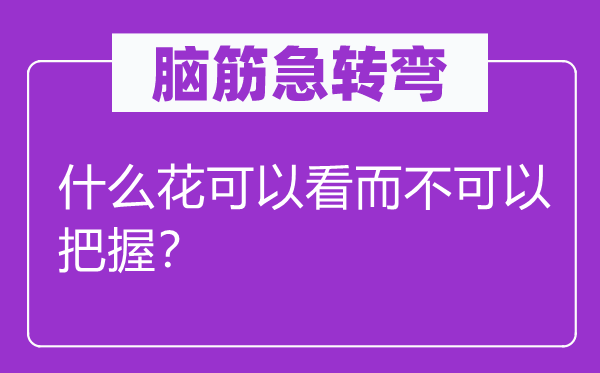 腦筋急轉(zhuǎn)彎：什么花可以看而不可以把握？