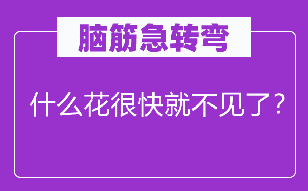 腦筋急轉彎：什么花很快就不見了？