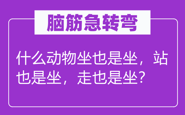 腦筋急轉(zhuǎn)彎：什么動物坐也是坐，站也是坐，走也是坐？