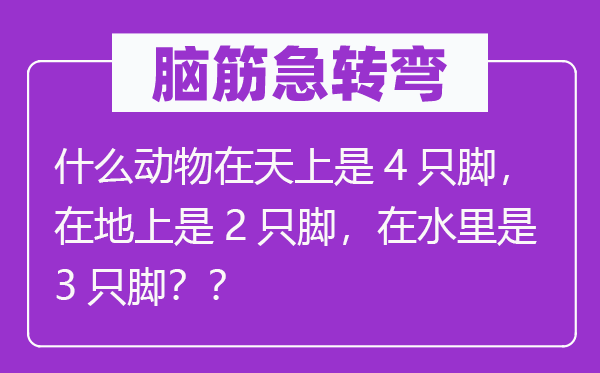 腦筋急轉彎：什么動物在天上是4只腳，在地上是2只腳，在水里是3只腳？