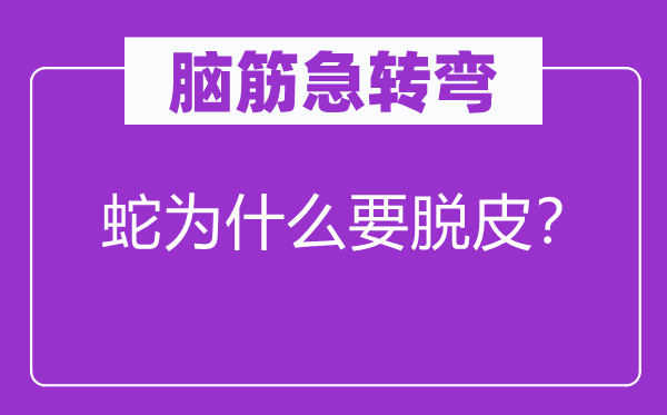 腦筋急轉彎：蛇為什么要脫皮？