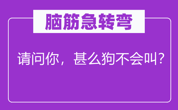 腦筋急轉(zhuǎn)彎：請問你，甚么狗不會(huì)叫？