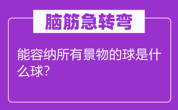 腦筋急轉彎：能容納所有景物的球是什么球？