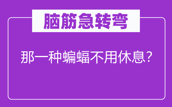 腦筋急轉彎：那一種蝙蝠不用休息？