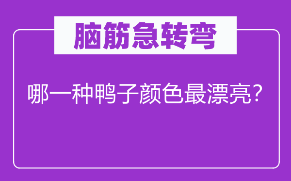 腦筋急轉彎：哪一種鴨子顏色最漂亮？