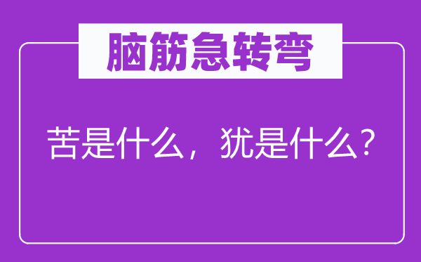 腦筋急轉彎：苦是什么，猶是什么？