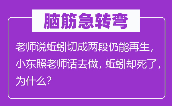 腦筋急轉彎：老師說蚯蚓切成兩段仍能再生，小東照老師話去做，蚯蚓卻死了，為什么？