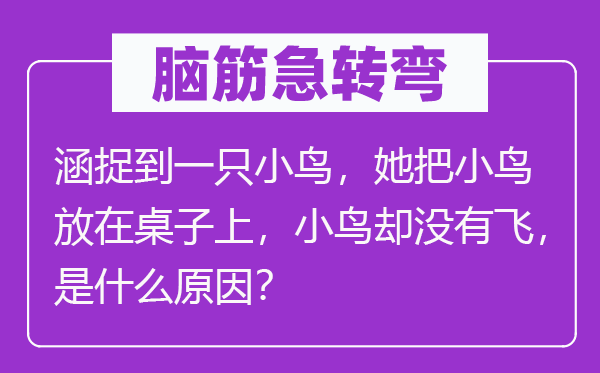 腦筋急轉(zhuǎn)彎：涵捉到一只小鳥，她把小鳥放在桌子上，小鳥卻沒有飛，是什么原因？