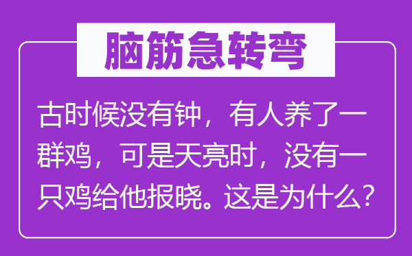 腦筋急轉彎：古時候沒有鐘，有人養了一群雞，可是天亮時，沒有一只雞給他報曉。這是為什么？
