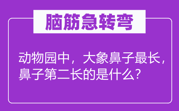 腦筋急轉彎：動物園中，大象鼻子最長，鼻子第二長的是什么？