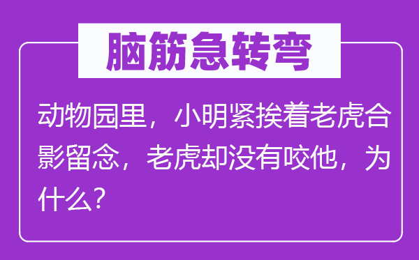 腦筋急轉彎：動物園里，小明緊挨著老虎合影留念，老虎卻沒有咬他，為什么？