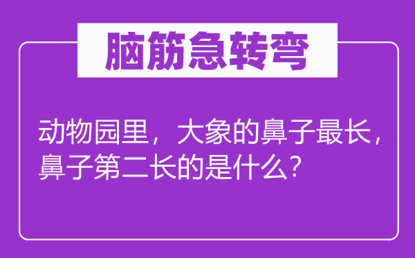 腦筋急轉(zhuǎn)彎：動(dòng)物園里，大象的鼻子最長，鼻子第二長的是什么？