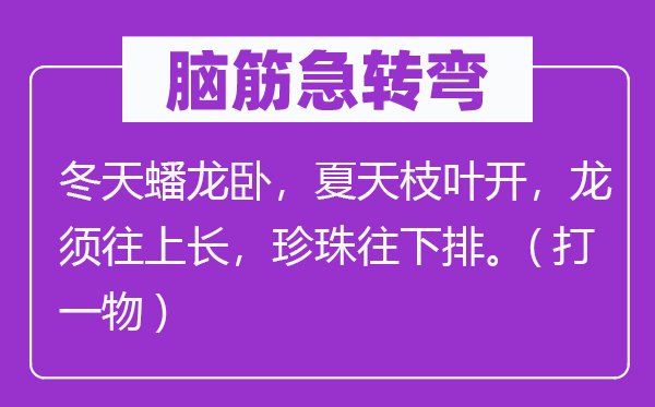 腦筋急轉彎：冬天蟠龍臥，夏天枝葉開，龍須往上長，珍珠往下排.(打一物)