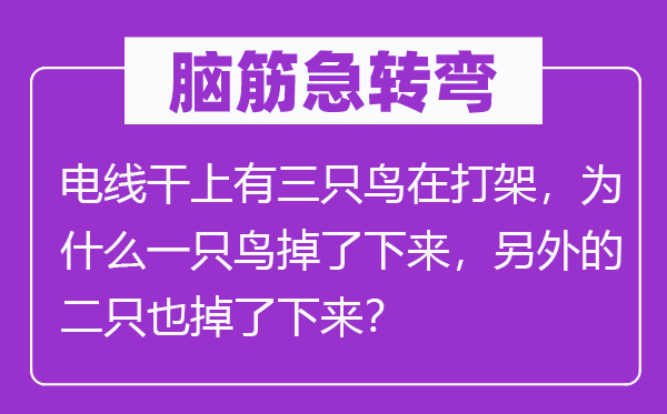 腦筋急轉彎：電線干上有三只鳥在打架，為什么一只鳥掉了下來，另外的二只也掉了下來？