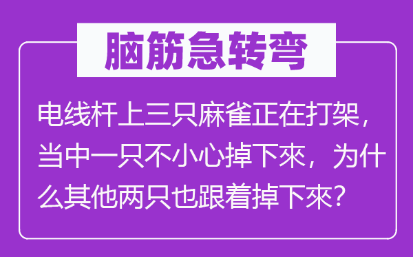 腦筋急轉彎：電線桿上三只麻雀正在打架，當中一只不小心掉下來，為什么其他兩只也跟著掉下來？