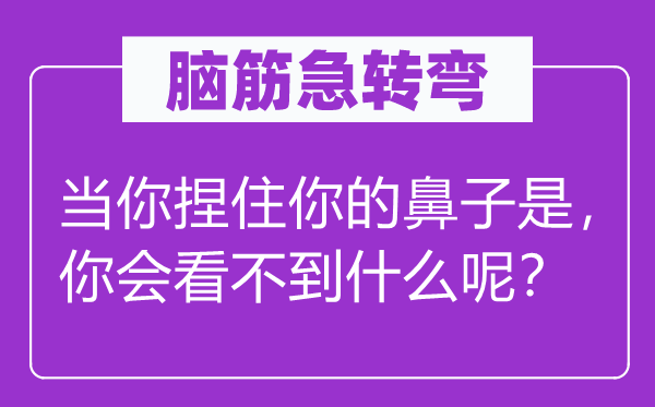 腦筋急轉(zhuǎn)彎：當(dāng)你捏住你的鼻子是，你會(huì)看不到什么呢？