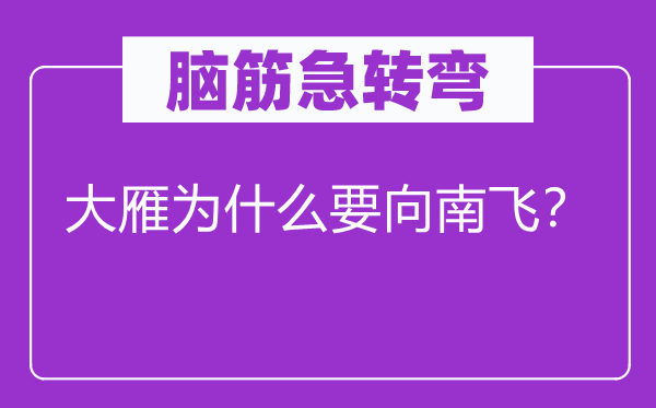 腦筋急轉(zhuǎn)彎：大雁為什么要向南飛？
