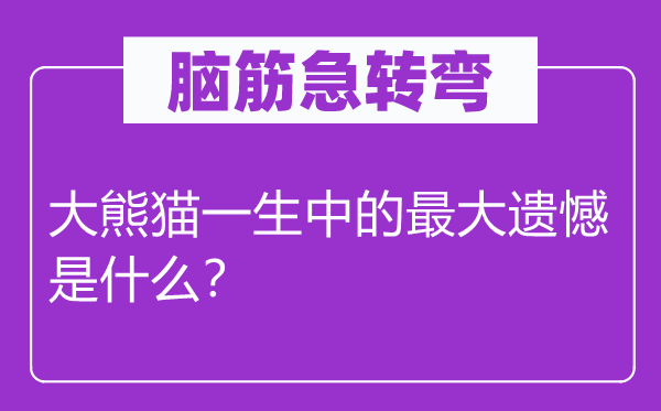 腦筋急轉(zhuǎn)彎：大熊貓一生中的最大遺憾是什么？
