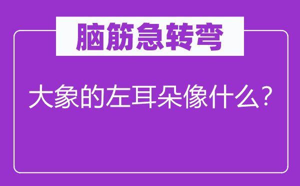 腦筋急轉(zhuǎn)彎：大象的左耳朵像什么？