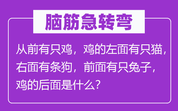 腦筋急轉彎：從前有只雞，雞的左面有只貓，右面有條狗，前面有只兔子，雞的后面是什么？