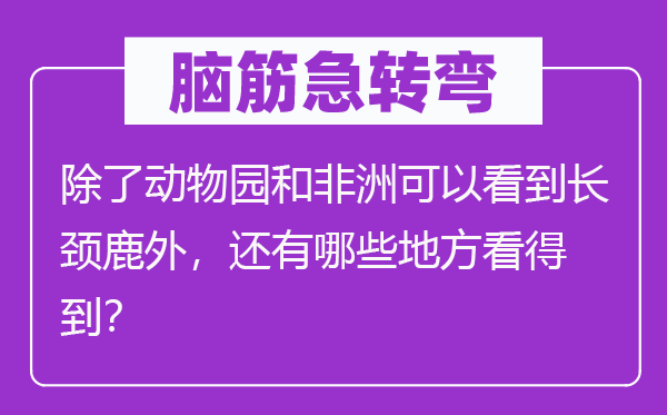 腦筋急轉彎：除了動物園和非洲可以看到長頸鹿外，還有哪些地方看得到？
