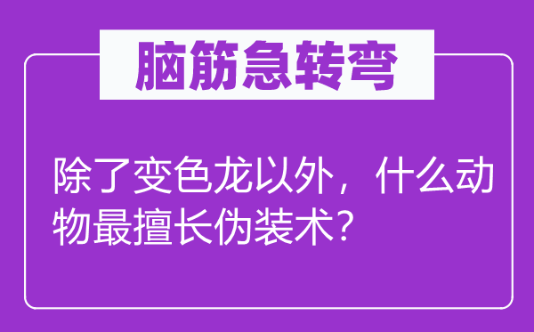 腦筋急轉彎：除了變色龍以外，什么動物最擅長偽裝術？