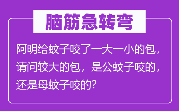腦筋急轉彎：阿明給蚊子咬了一大一小的包，請問較大的包，是公蚊子咬的，還是母蚊子咬的？