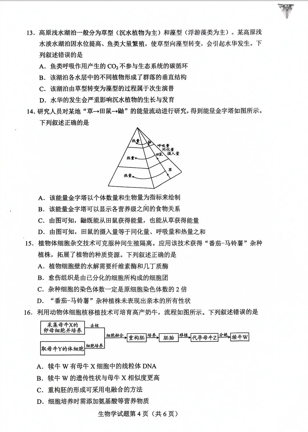 新高考2024七省聯(lián)考生物試卷及答案解析