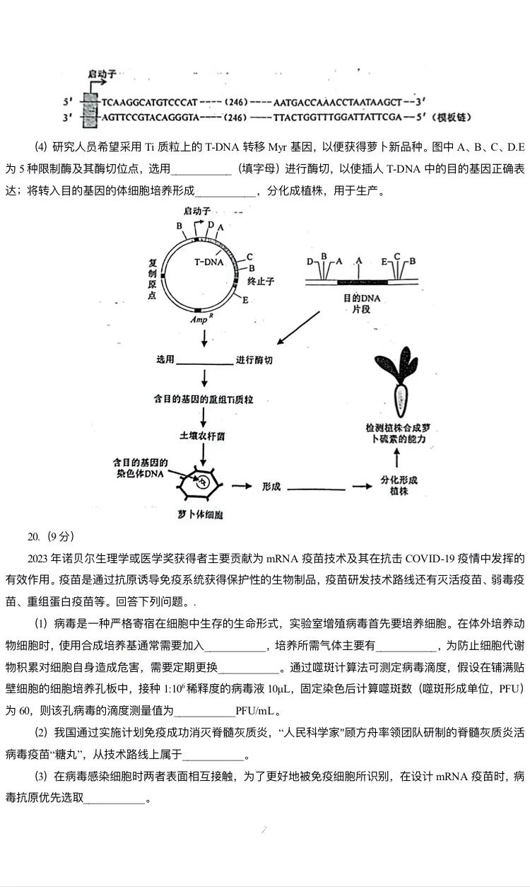 新高考2024七省聯考生物試卷及答案解析