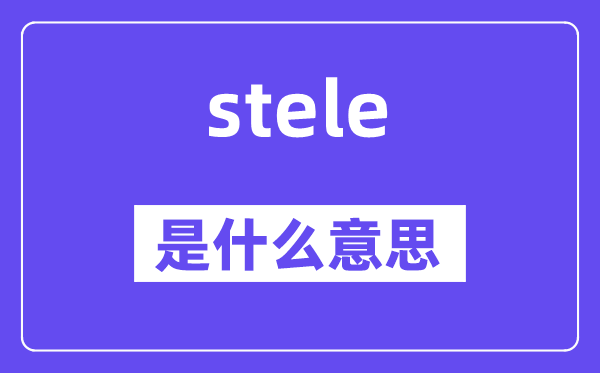 stele是什么意思,stele怎么讀,中文翻譯是什么