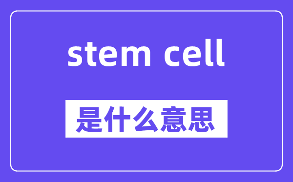 stem cell是什么意思,中文翻譯是什么
