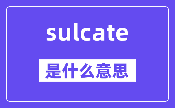 sulcate是什么意思,sulcate怎么讀,中文翻譯是什么