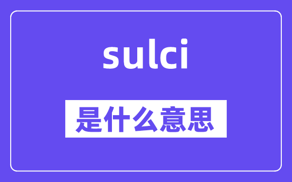 sulci是什么意思,sulci怎么讀,中文翻譯是什么